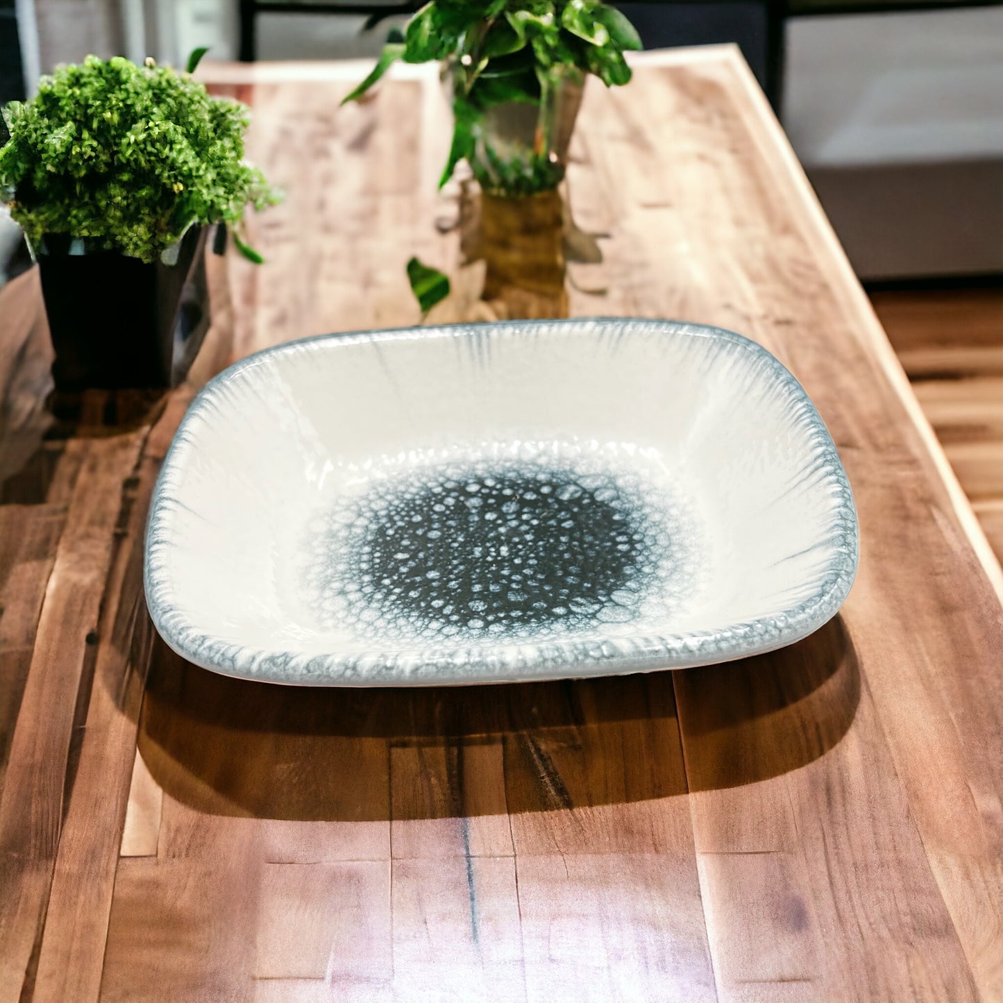 Astra Galaxy Dish - Small