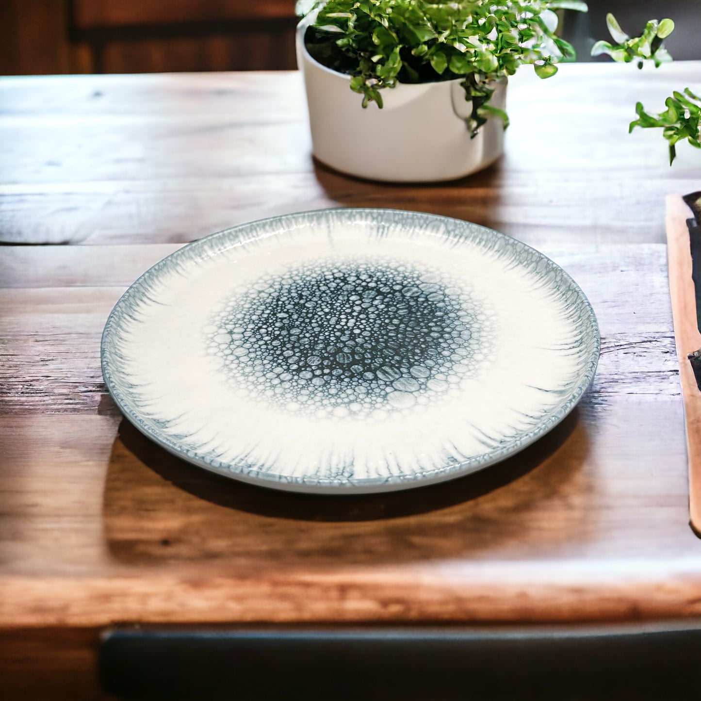 Astra Galaxy Dinner Plate - Flat