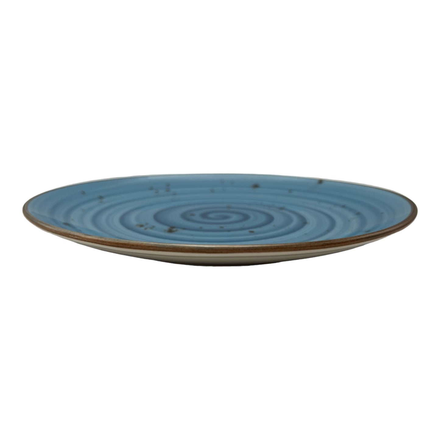 Blue Speckled Spiral Dinner Plate - Medium