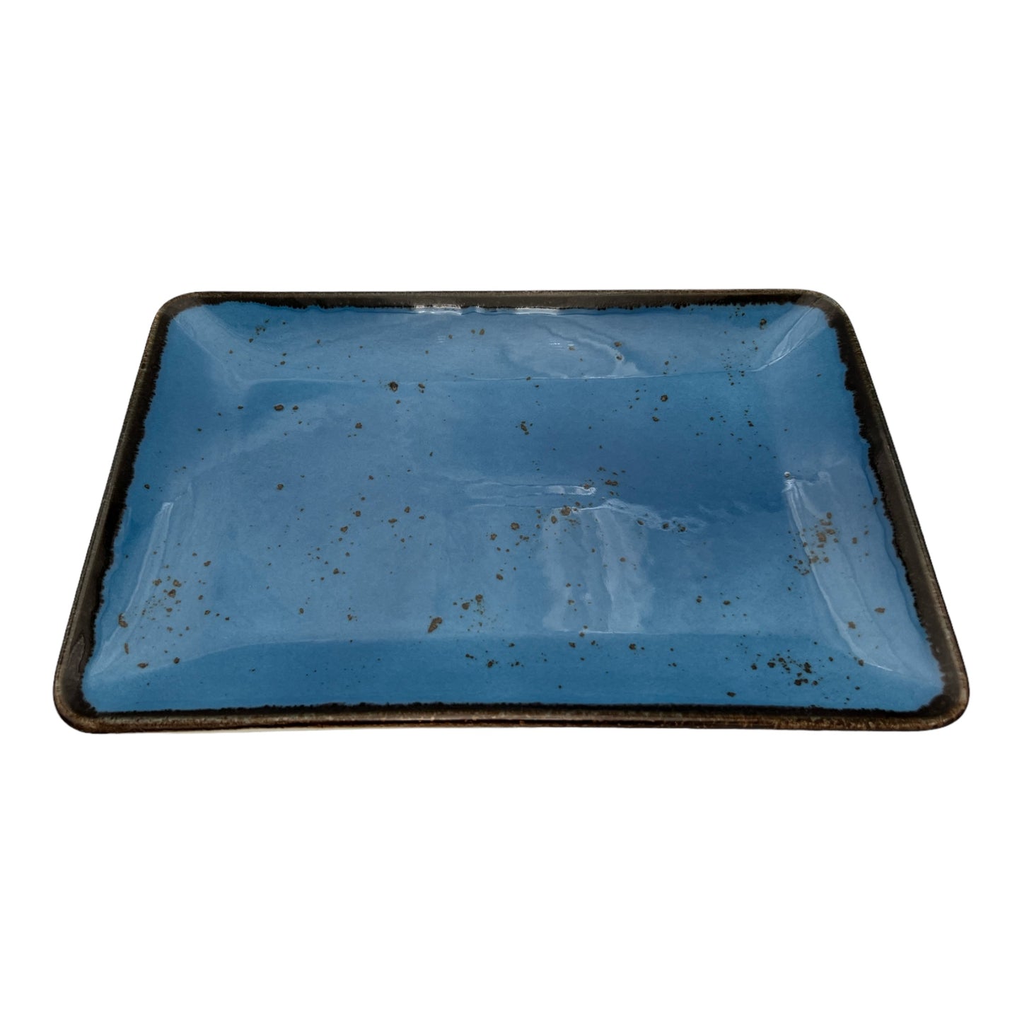 Blue Speckled Serving Platter - Large